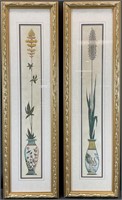 Pair Framed Botanical Prints