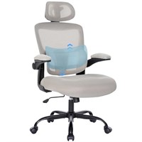 Ergonomic Mesh Office Chair with Lumbar Support- A