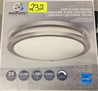 Energetic LED flush mount light