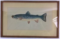 Arch H. Lewis Colored Pencil Trout Illustration