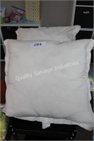 2- large decorative pillows