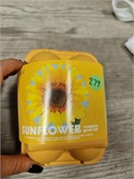 Sunflower grow kit