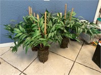 Faux Plants (3)