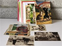 Vintage Post Cards, Clippings, Stationary
