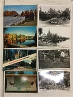 A lot of eight Algonquin Park postcards.