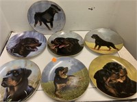 Collectible Plates - Dog Pictures