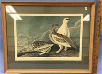 Choice on 3 (8-10): framed pictures of birds from