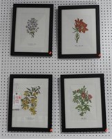 (4) framed floral prints: Wild Rose, Jasmine,