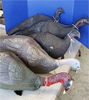 Turkey decoys