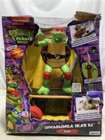 Teenage Mutant Ninja Turtles Raph
