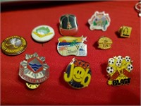 10 assorted Pins