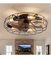 20" black caged ceiling fan with lights