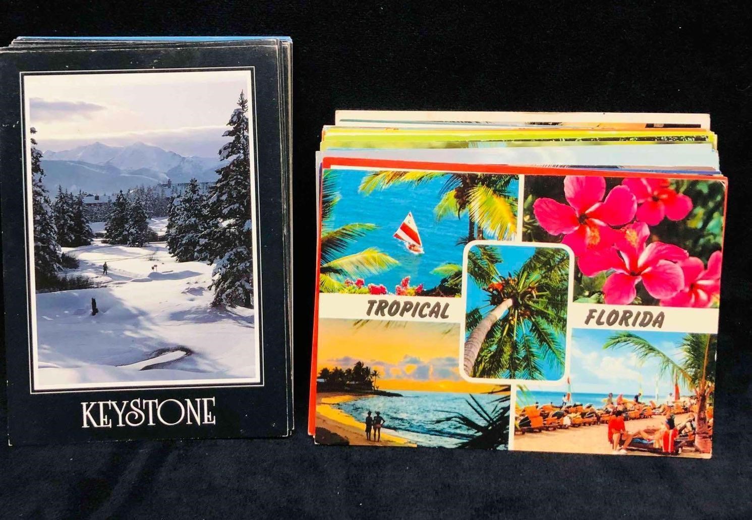 Over 75 Florida Sunshine V.S Winter Snow Postcard