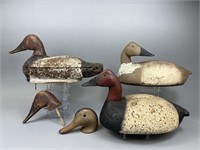 3 Canvasback Duck Decoys & 2 Heads