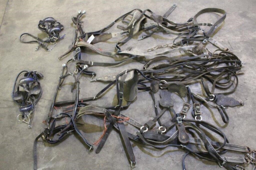 (2) Horse Harnesses With Some Accessories