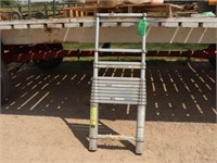 Telescoping Ladder