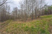 Wooded Tract of Land for Sale in Danville VA