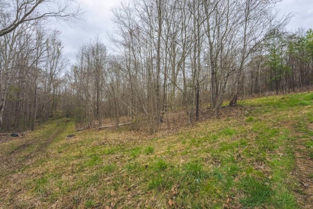 Wooded Tract of Land for Sale in Danville VA