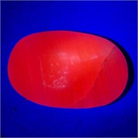 491 CTs Top Quality Fluorescent Pink Calcite Palm