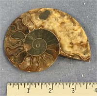 4 1/2" ammonite fossil   (a 7)