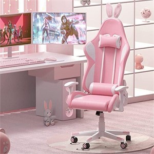 Gaming Chair: Pink Ergonomic DualThunder