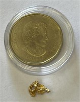 Alaska Gold Rush Nugget w/ Coin #3