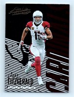 Larry Fitzgerald Arizona Cardinals