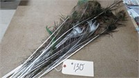 LOT OF MISC PEACOCK FEATHERS