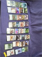 Magic of the gathering