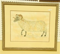 Original framed watercolor of ram  (20” x 26”)