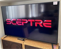 T - SCEPTRE TV W/ REMOTE (S11)