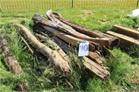 Old Locust Fence Posts