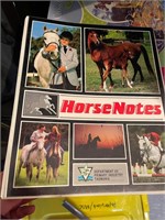 (Private) HORSE NOTES BOOKS