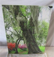 Tree Print On Canvas