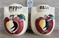 Pair of S / P Shakers