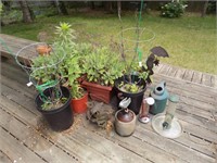 Flower pots and garden items