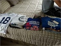 SPORTS RELATED T-SHIRTS, COLTS JERSEY