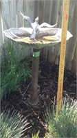 Bird bath corner of yard