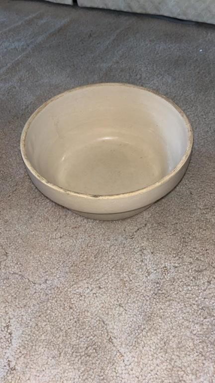 Crock bowl, some flea bites