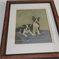 FRENCH BULL DOG PICTURE IN FRAME. 16"H X 13"W.