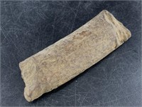 4.5" Section of ancient walrus tusk