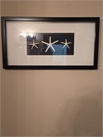 Framed starfish decor