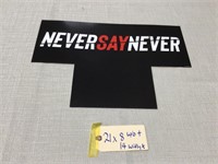21x8 Never say Never