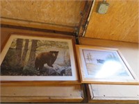 FRAMED BEAR PICTURES