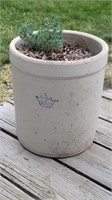 4-Gallon Blue Crown Pot