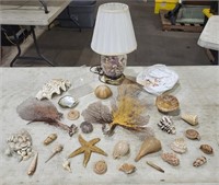 ASSORTED SEASHELLS AND LAMP