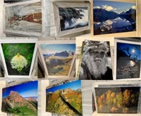 Collection of Printed Photos