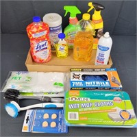 Various Cleaning Supplies