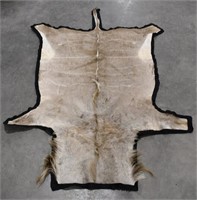 African Greater Kudu Taxidermy Rug