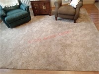 Area rug - see pics for measurements